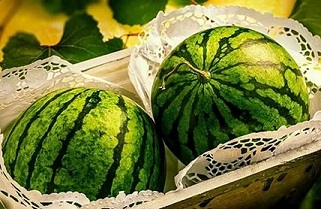 تصویر 1 از خرید و قیمت هندوانه گرد خطی + فروش عمده